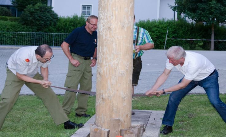 Der Maibaum in Hinterstoder wird bei einem Fest umgeschnitten. Foto: FF Hinterstoder
