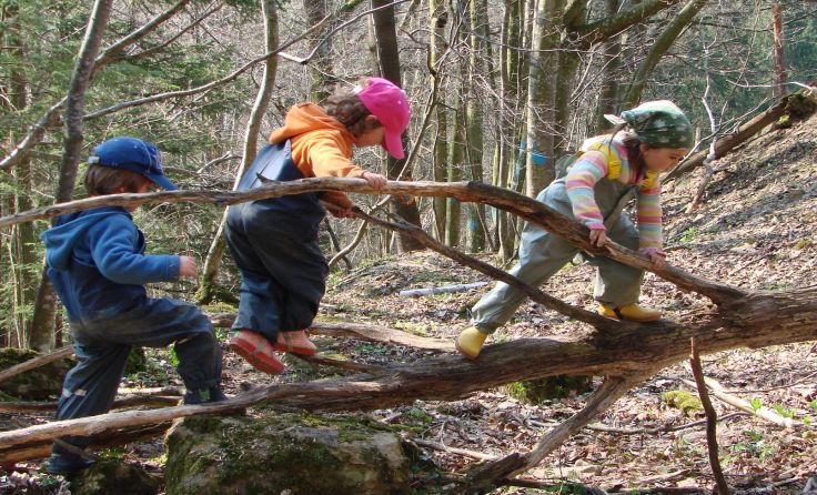 Im Wald finden die Kinder alles was sie zum Spielen brauchen. 