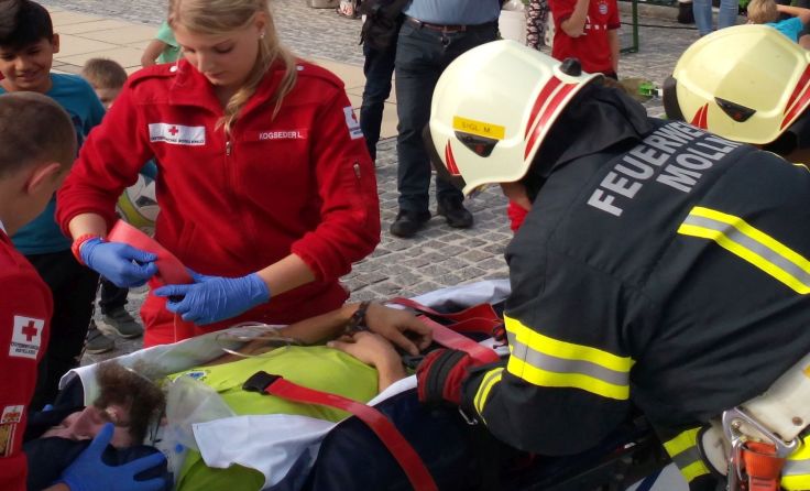 Die Feuerwehr und das Rote Kreuz Molln zeigen ihr fachliches Können.