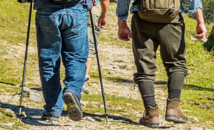 Die Naturfreunde Steyrling/Klaus laden zur Bertlwanderung ein. Symbolfoto: Wodicka