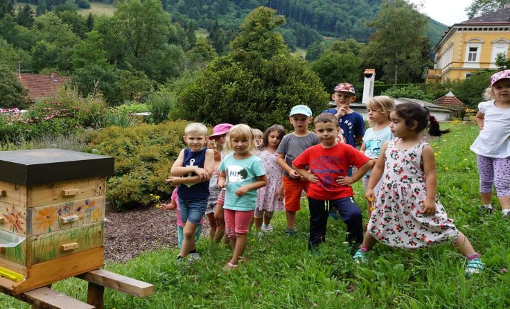 Die Kinder des Kindergartens Leonstein sind Bienenpaten. Foto: Barbara Kerbl
