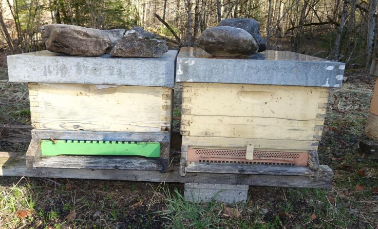 Fünf Bienenkästen wurden gestohlen. Foto: privat
