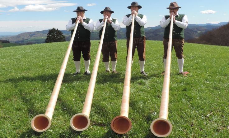 Die Alphornbläser sorgen für ein alpenländisches Lebensgefühl. Foto: LMS Grünburg