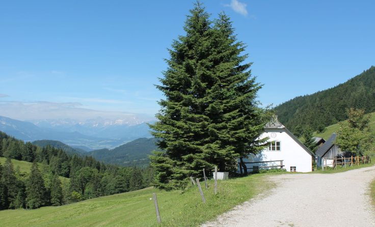 Die Hanslalm in Rosenau bietet einen traumhaften Ausblick. Foto: Winter