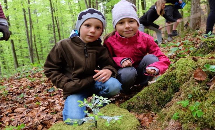 Foto: Naturfreunde Steyrling/Klaus