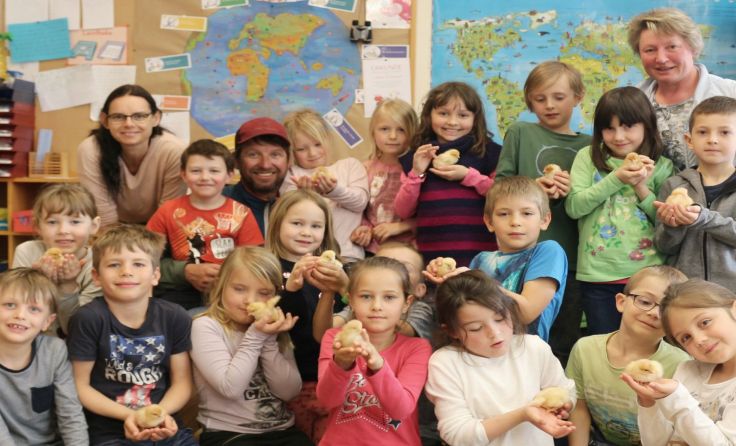 Voller Stolz nahmen die Inzersdorfer Volksschüler die Küken in die Hand. Foto: privat