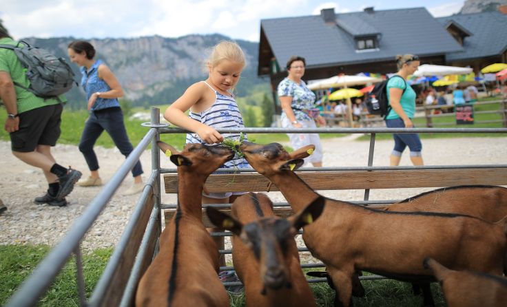 Das Almfest bietet ein buntes Programm für die ganze Familie. Foto: HIWU/Hinterramskogler