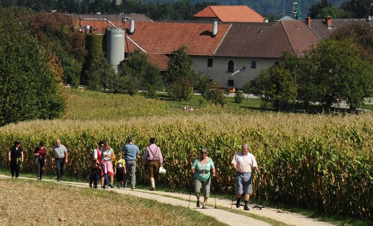 Der Bauernbund Ried und mitwirkende Vereine laden zur Rieder Hofroas ein. Foto: Bauernbund Ried
