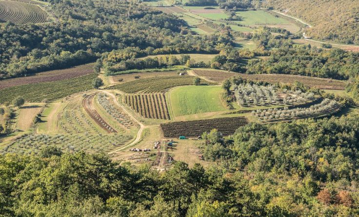 Zwischen Grožnjan und Motovun, Foto: G. Hinterplattner