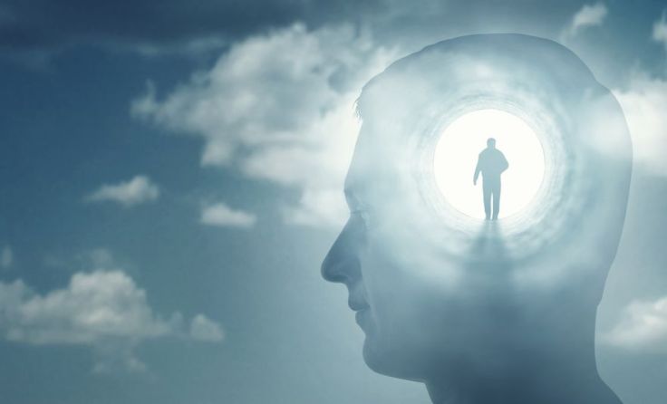 Symbolfoto: Triff/Shutterstock.com