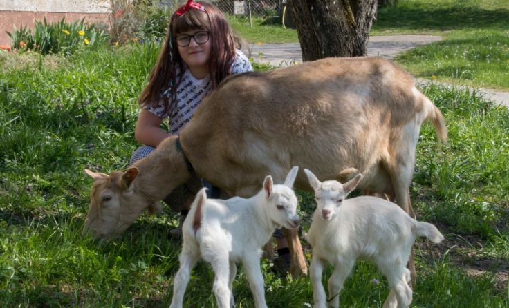 Agnes Jirka sorgt sich begeistert um die Ziegenfamilie. Foto: Jack Haijes