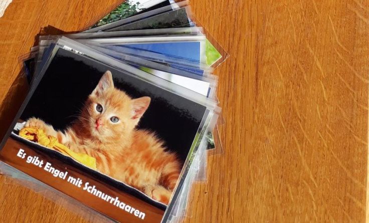 Motivationskarten, Foto: Nieskens