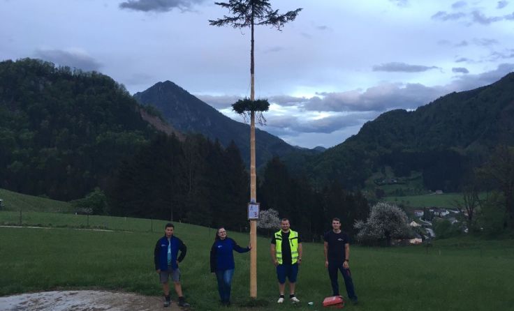 Maibaum der Landjugend in Steyrling-Klaus. Foto: privat