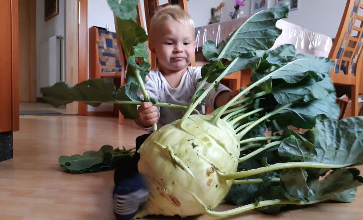 Laurenz Edtbauer mit dem Kohlrabi, Foto: Edtbauer