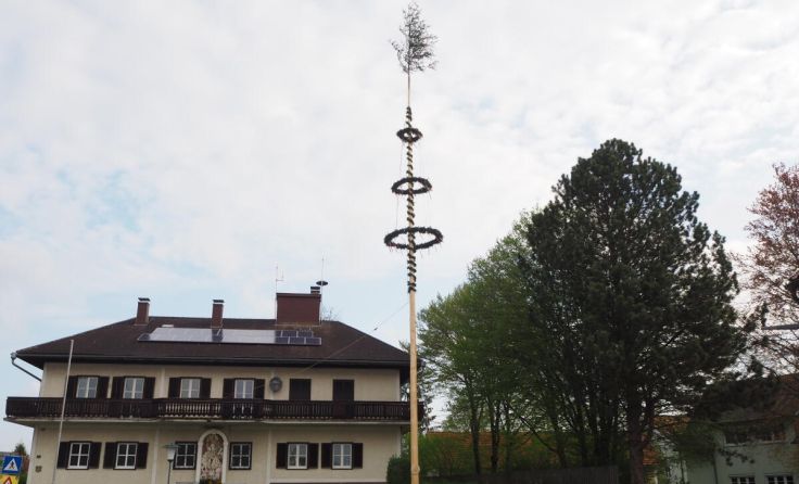 Maibaum in Wartberg (Foto: Marktgemeinde Wartberg)