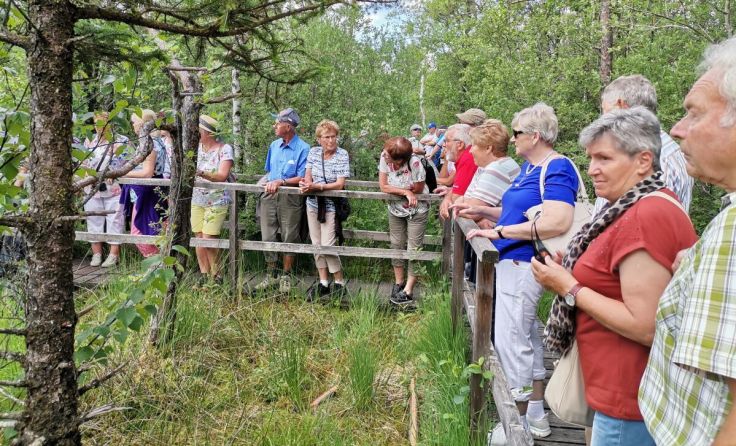 Mitglieder des Pensionistenverbandes Micheldorf im Ibmer Moor (Foto: PV Micheldorf)
