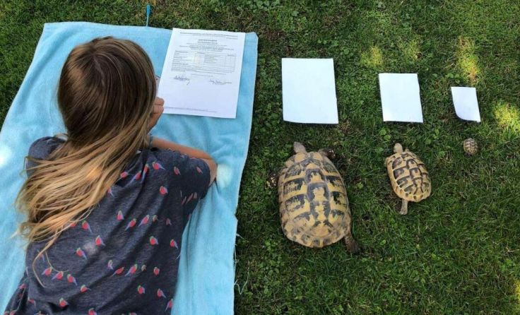 Hanna Rettenegger aus Leonstein konnte sich mit diesem Foto den Bezirkssieg sichern. (Foto: privat)