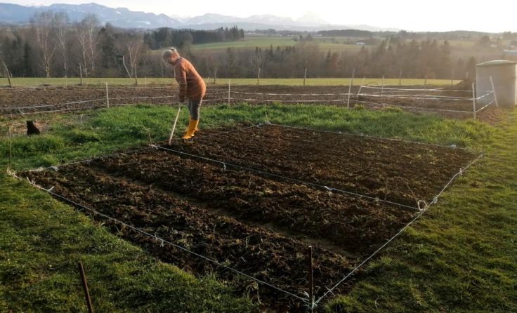 Im Gemeinschaftsgarten in Ried beginnt die Gartensaison. (Foto: Verein Windischbauer.nHOF)