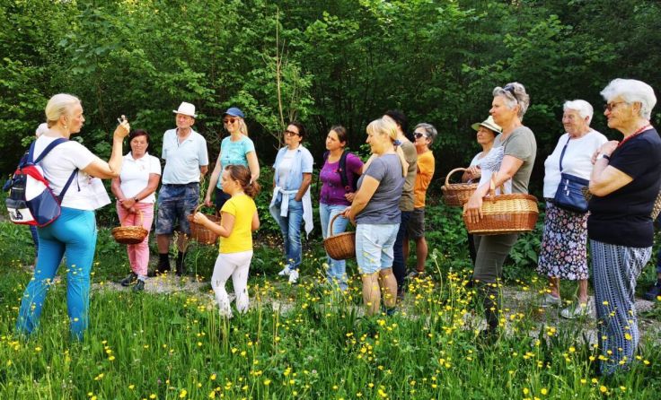 Kräuter-Wanderung (Foto: Frauennetzwerk Klaus-Steyrling-Kniewas)