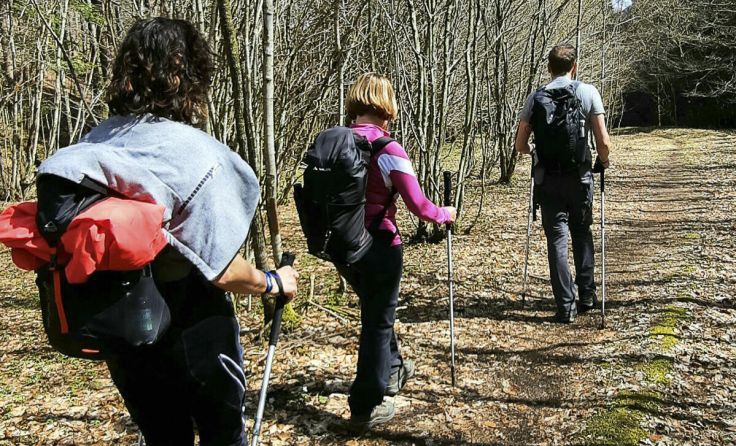 Wandern rund um Burg Altpernstein (Foto: verenahuebner_outdoors)