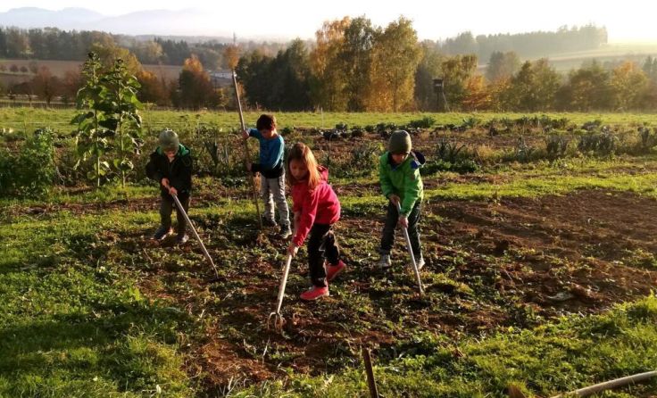 Garteln in Ried (Foto: Windischbauer.nHOF)