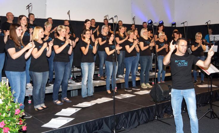 Der A-CappellaChor Nußbach lädt zum Konzert im Mehrzwecksaal Nußbach ein. (Foto: ACCN)