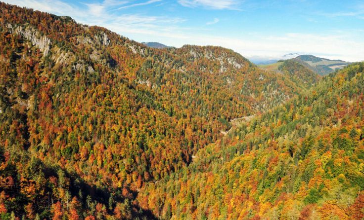 Herbst-Stimmung im Nationalpark Kalkalpen (Foto: Lorenz Sieghartsleitner)