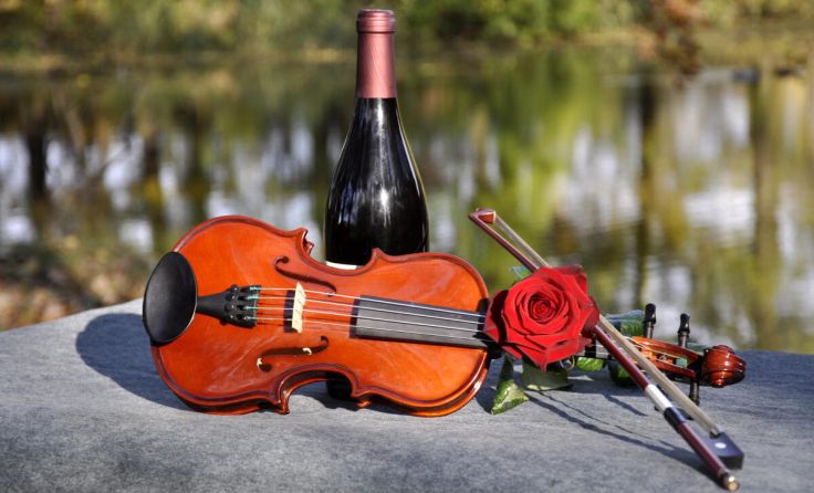  (Foto: steschum / stock.adobe.com)