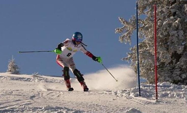 Die Kids starteten die traditionelle Rennserie (Foto: Ingrid Schachinger)