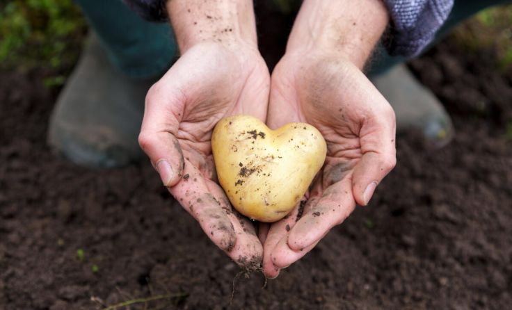 Das Thema Ernährung ist vielen Vereinen ein Herzensanliegen. (Foto: juefraphoto/stock.adobe.com)