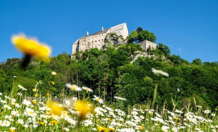 Burg Altpernstein mit Blumenwiese (Foto: Rudolf Rohrleitner)