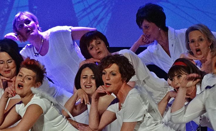 Schwungvolle "Österreich Revue" des Singverein Enns 1919 Fotos: Privat 