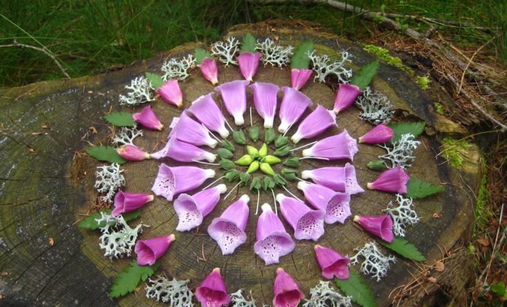 Kre:ART Landart-Workshop in der Wachau, 12.September 2015