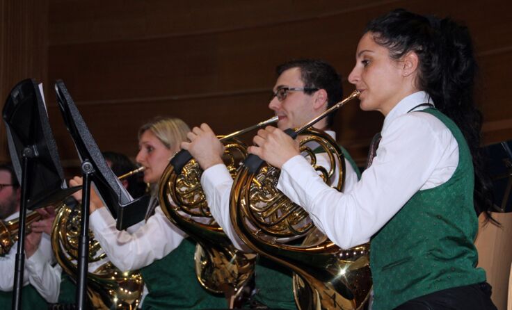 Musikverein Offenhausen. Foto: G. Paltinger