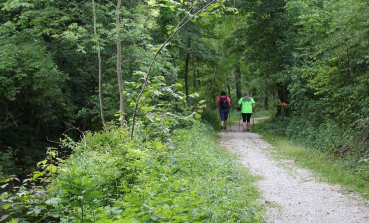 Der beliebte Wanderweg „Genuss am Almfluss“ führt 52 Kilometer vom Almspitz zum Almsee.