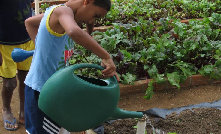 Durch die Hilfe eines Welser Vereines haben Kleinbauern-Familien Wasser. Foto: Verein