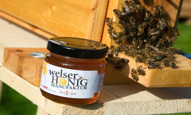 Die Welser Honig Manufaktur. Foto: Cityfoto/Pelzl