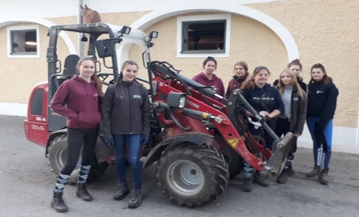 Durch das Projekt „Stallmeister“ sind die Schüler für ihr Praktikum vorbereitet. Foto: abz