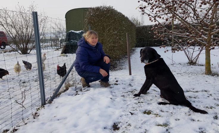 Labrador Juno mit seiner neuen Besitzerin. Foto: privat