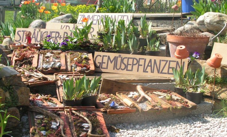 Bei der Firma SilberHolz in Untereggen werden Pflanzenliebhaber fündig. Foto: B. Mittendorfer