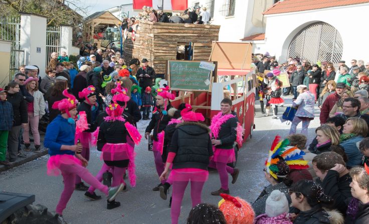Faschingsnarren machen das Ortszentrum von Offenhausen unsicher. Foto: Gemeinde