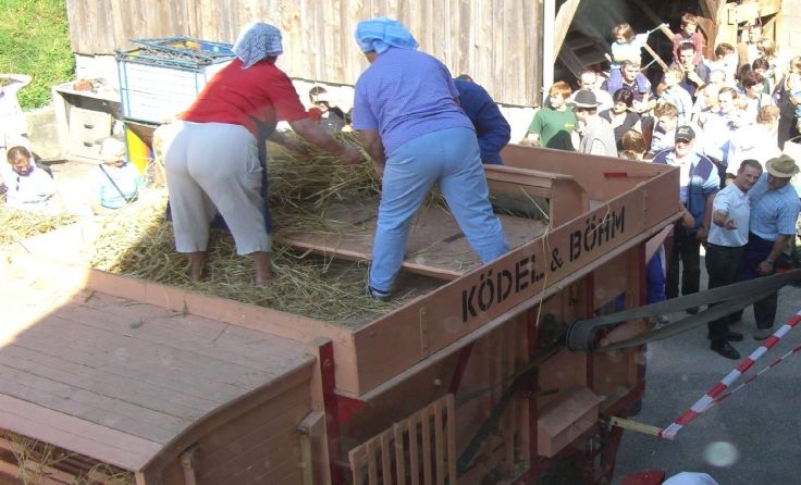 Beim Druschfest werden alte Bräuche vorgezeigt. Foto: Volkstanzgruppe