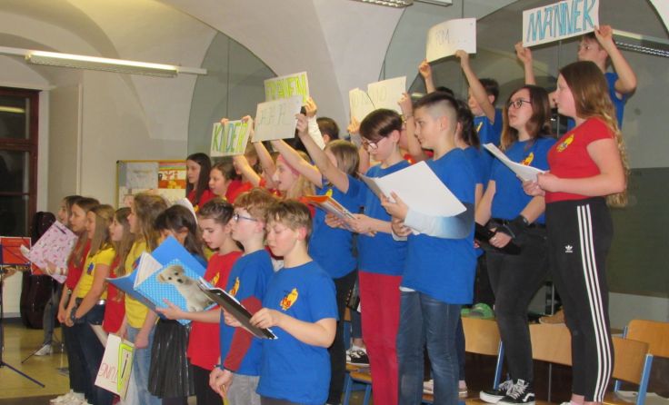 Die Schüler des Realgymnasiums Lambach luden sich Gäste ein. Foto: I. Brandl