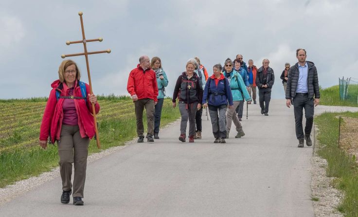 Ein Stück pilgerte auch Landesrat Max Hiegelsberger (2.v.l.) mit. Foto: Jack Haijes