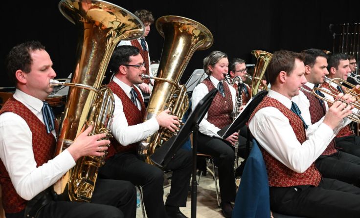 Eine Goldmedaille erspielt: der Musikverein Steinhaus (Foto: GePaltinger)