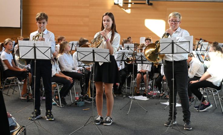 Beim Abschlusskonzert gab es Orchester- und Ensemblestücke zu hören. (Foto: GePaltinger)