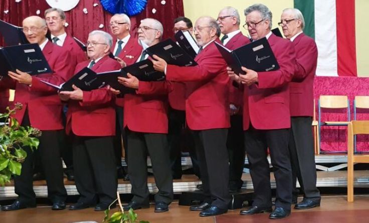 Einer der beteiligten Chöre ist der Männergesangsverein Pichl. (Foto: MGV Pichl)