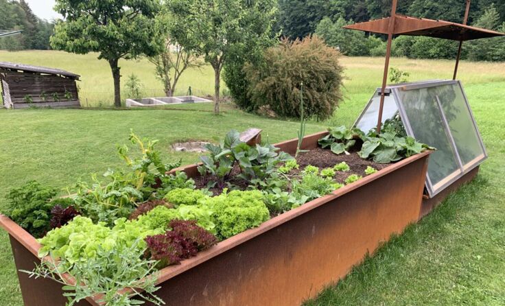 Gute Erträge im Garten erfreuen die Hobbygärtner. (Foto: Heitzinger)