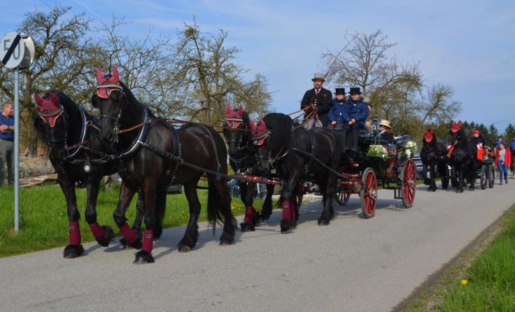 Prächtig heraus geschmück - Pferde und Reiter (Foto: FF Bergham-Kösslwang)
