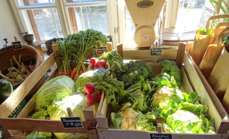 Erntefrisches Gemüse gibt es beim Bauernmarkt in der Furthmühle. (Foto: Furthmühle)